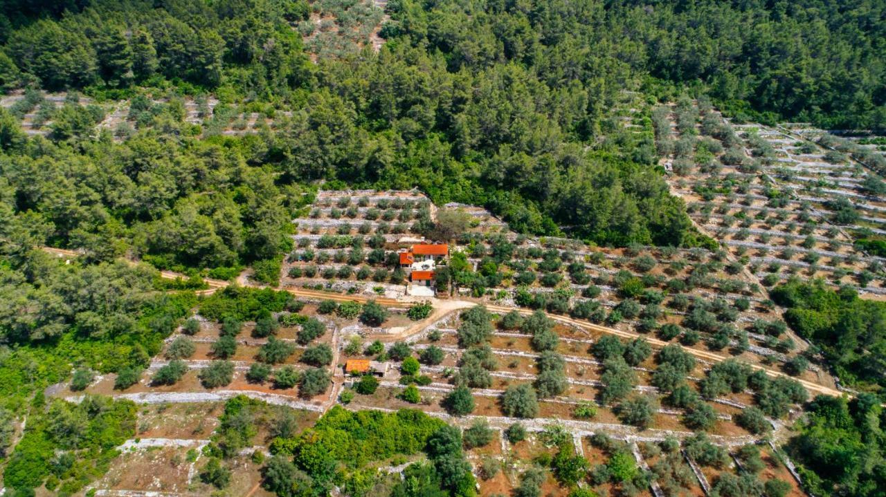 Holiday Home Liberan Vela Luka Εξωτερικό φωτογραφία